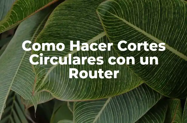 Como Hacer Cortes Circulares con un Router