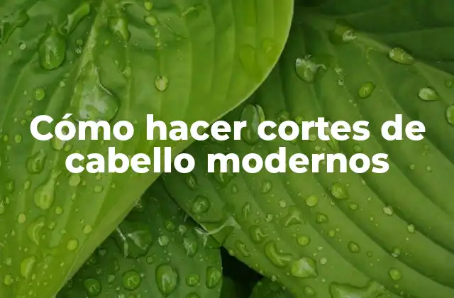 Cómo Hacer Cortes de Cabello Modernos