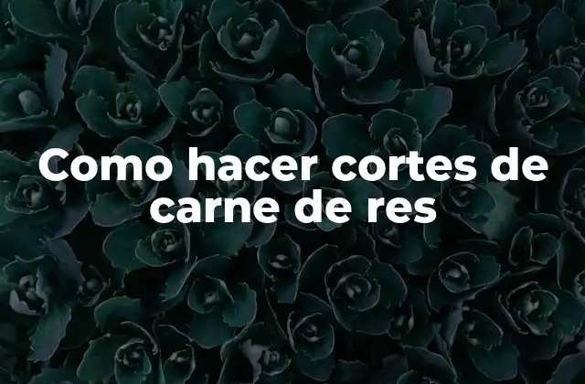 Como Hacer Cortes de Carne de Res