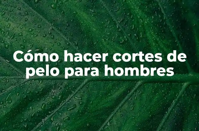 Cómo Hacer Cortes de Pelo para Hombres