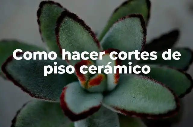 Como Hacer Cortes de Piso Cerámico