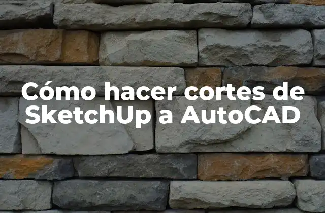 Cómo Hacer Cortes de Sketchup a Autocad