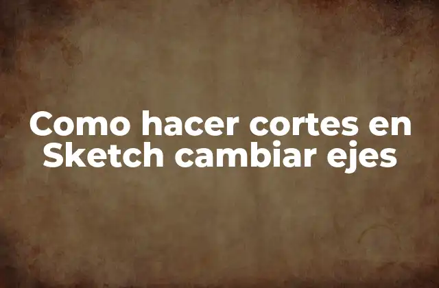 Como Hacer Cortes en Sketch Cambiar Ejes