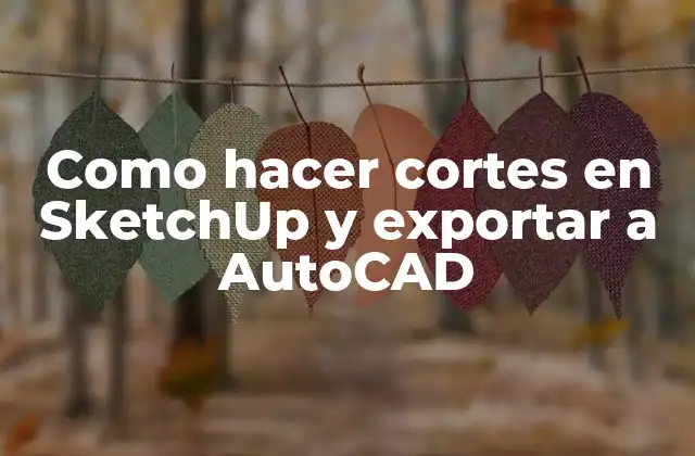Como Hacer Cortes en Sketchup y Exportar a Autocad