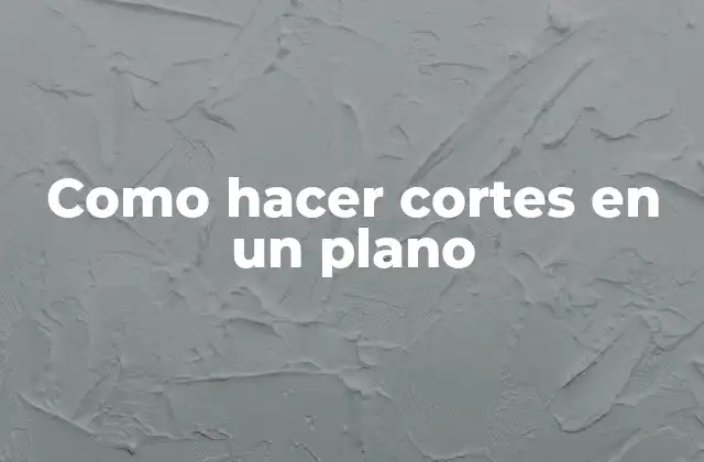 Como Hacer Cortes en un Plano
