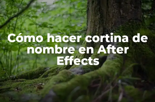 Cómo Hacer Cortina de Nombre en After Effects