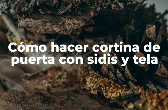 Cómo Hacer Cortina de Puerta con Sidis y Tela