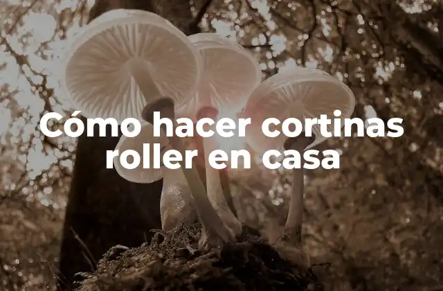 Cómo Hacer Cortinas Roller en Casa