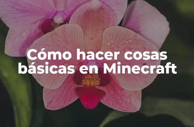 Cómo hacer cosas básicas en Minecraft