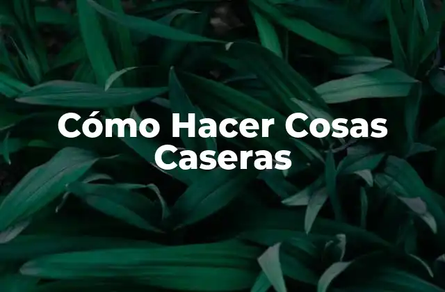 Cómo Hacer Cosas Caseras