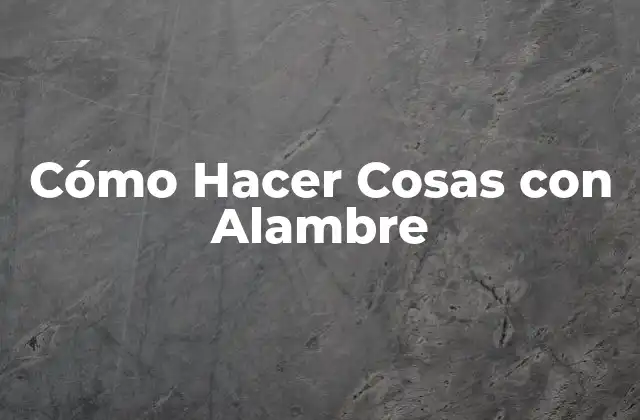 Cómo Hacer Cosas con Alambre 2 Cómo Hacer Cosas con Alambre