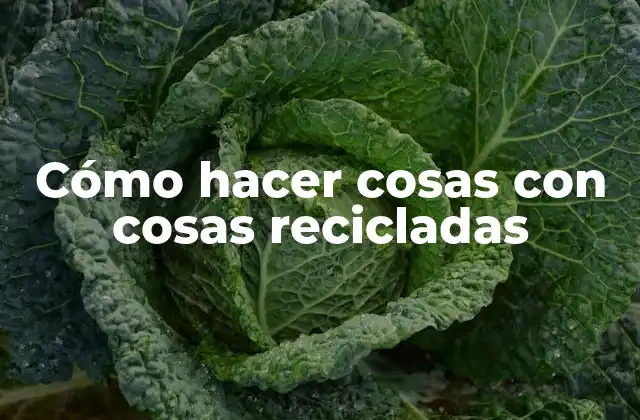 Cómo Hacer Cosas con Cosas Recicladas