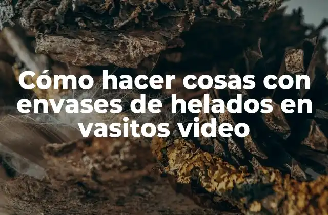 Cómo Hacer Cosas con Envases de Helados en Vasitos Video