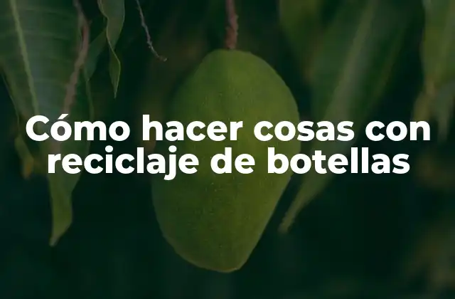 Cómo Hacer Cosas con Reciclaje de Botellas 2 Reciclaje de botellas: qué es y para qué sirve