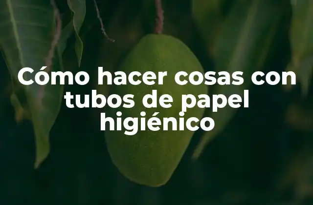 Cómo Hacer Cosas con Tubos de Papel Higiénico