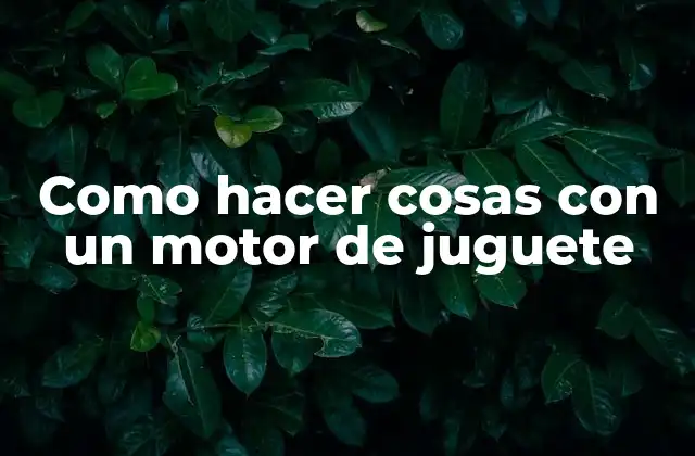 Como Hacer Cosas con un Motor de Juguete