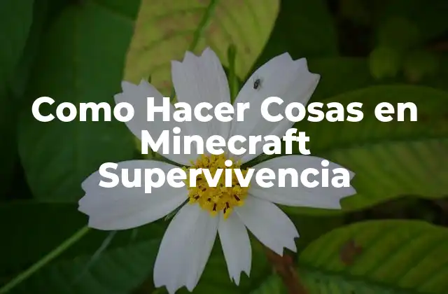 Como Hacer Cosas en Minecraft Supervivencia 2 ¿Qué es Minecraft Supervivencia?