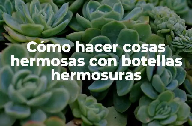 Cómo Hacer Cosas Hermosas con Botellas Hermosuras