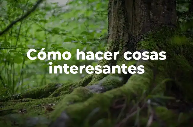 Cómo Hacer Cosas Interesantes