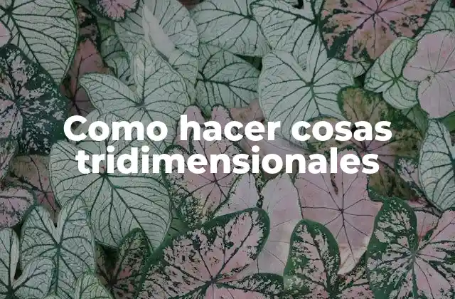 ¿Qué son objetos tridimensionales?