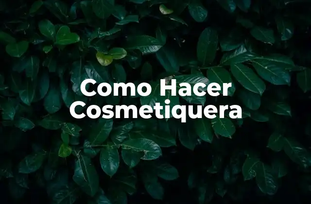 ¿Qué es una Cosmetiquera?