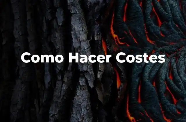Como Hacer Costes