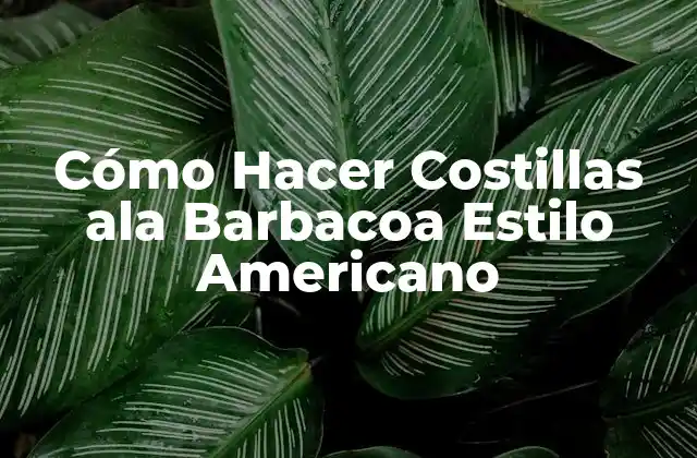 Cómo Hacer Costillas Ala Barbacoa Estilo Americano 2 Cómo Hacer Costillas ala Barbacoa Estilo Americano
