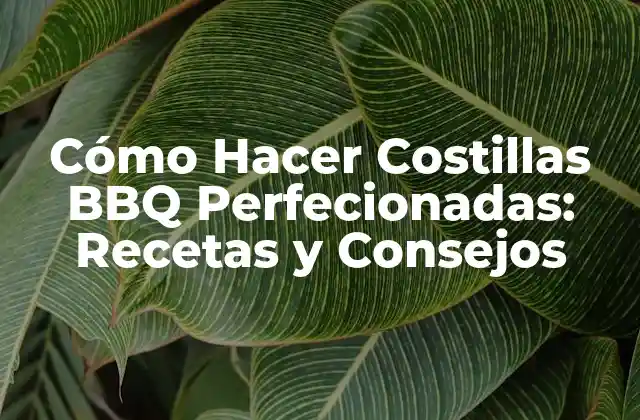 Cómo Hacer Costillas Bbq Perfecionadas: Recetas y Consejos 2 Elección de la Carne: Tipos de Costillas y Cómo Seleccionar las Mejores