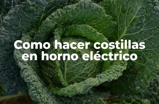 Como Hacer Costillas en Horno Eléctrico