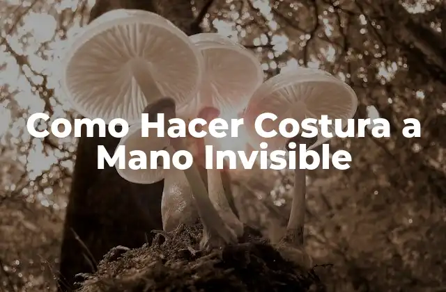 Como Hacer Costura a Mano Invisible