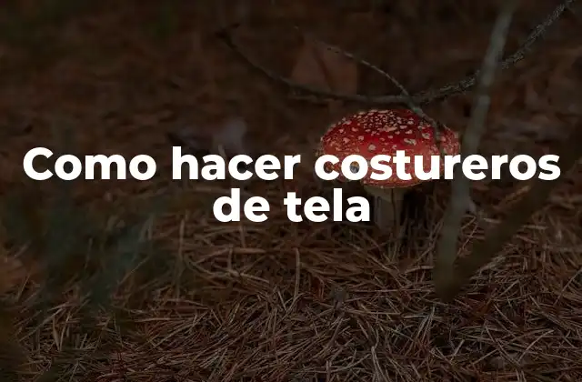 Como Hacer Costureros de Tela