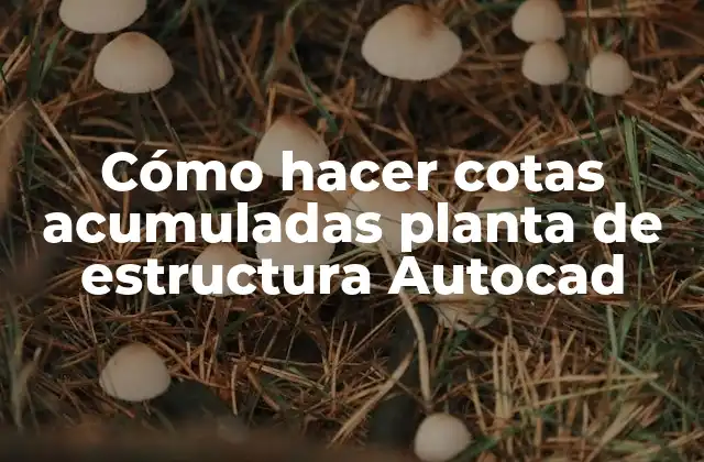 Cómo Hacer Cotas Acumuladas Planta de Estructura Autocad