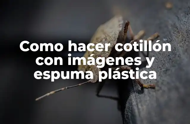 Como Hacer Cotillón con Imágenes y Espuma Plástica 2 ¿Qué es un cotillón y para qué sirve?