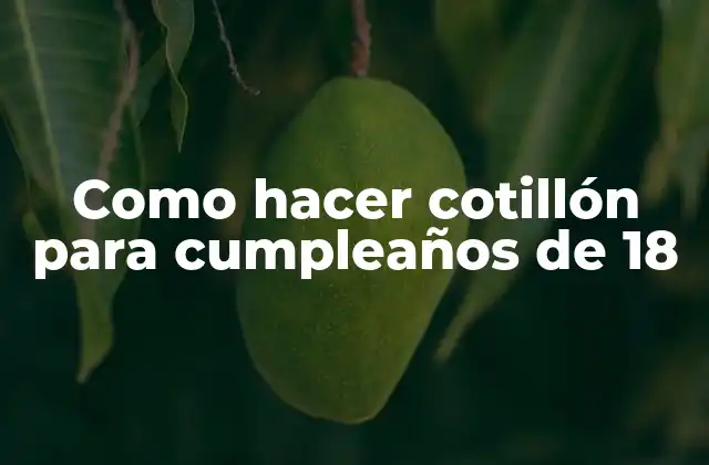 Como Hacer Cotillón para Cumpleaños de 18