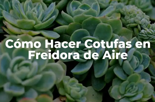 Cómo Hacer Cotufas en Freidora de Aire