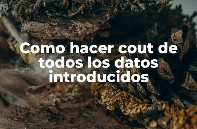 Como Hacer Cout de Todos los Datos Introducidos