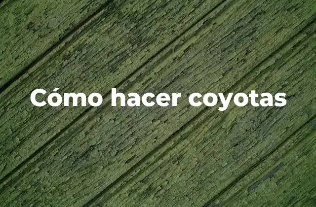 ¿Qué son las coyotas?