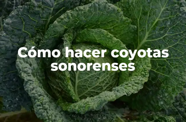 Cómo Hacer Coyotas Sonorenses