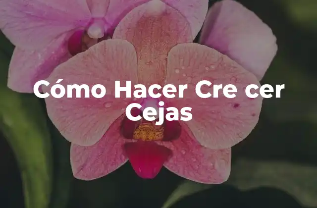 Cómo Hacer Cre Cer Cejas