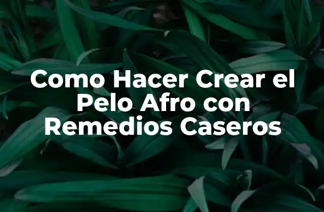Como Hacer Crear el Pelo Afro con Remedios Caseros