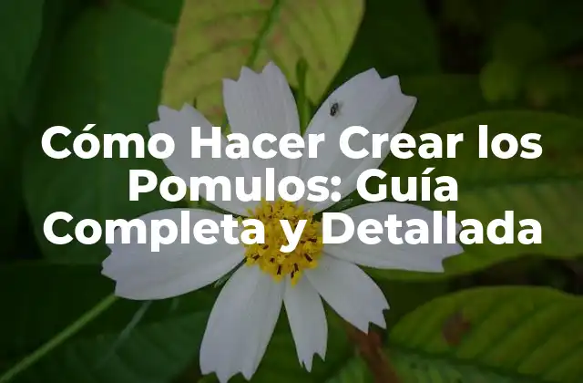 Cómo Hacer Crear los Pomulos: Guía Completa y Detallada
