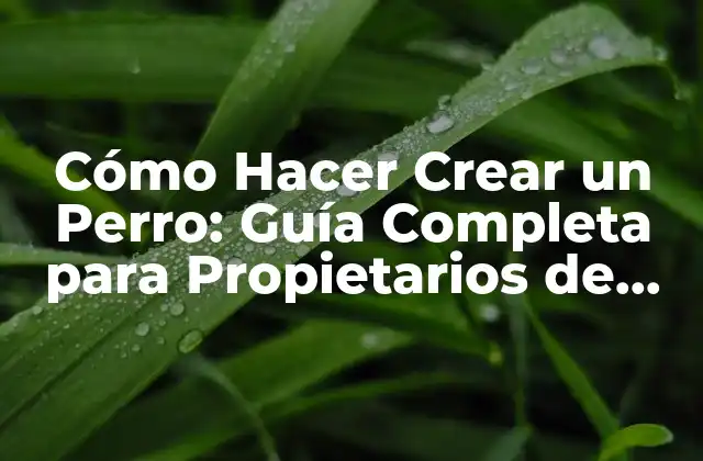 Cómo Hacer Crear un Perro: Guía Completa para Propietarios de Perros 2 Elección de la Raza Adeuada