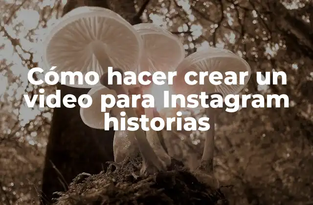 Cómo Hacer Crear un Video para Instagram Historias
