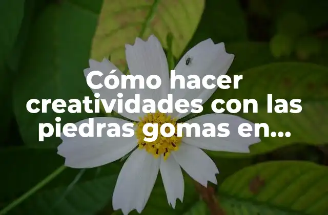 Cómo Hacer Creatividades con las Piedras Gomas en Jardines
