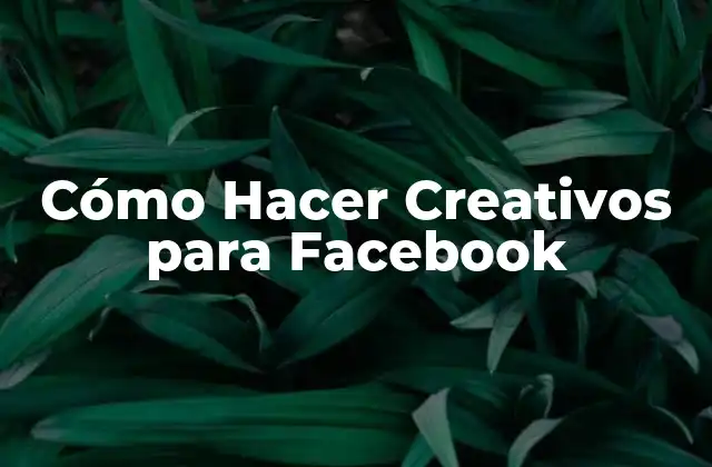 Cómo Hacer Creativos para Facebook
