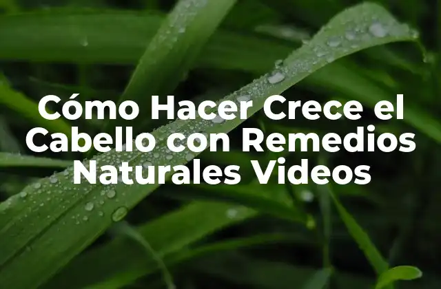 Cómo Hacer Crece el Cabello con Remedios Naturales Videos