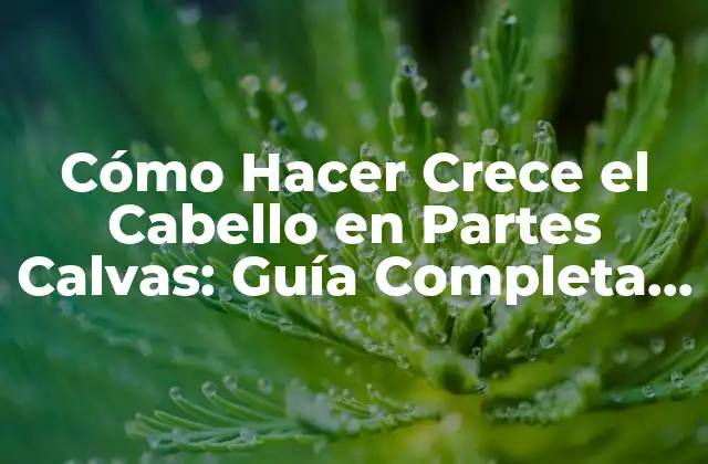 Cómo Hacer Crece el Cabello en Partes Calvas: Guía Completa y Efectiva