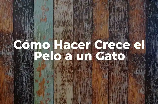 Cómo Hacer Crece el Pelo a un Gato