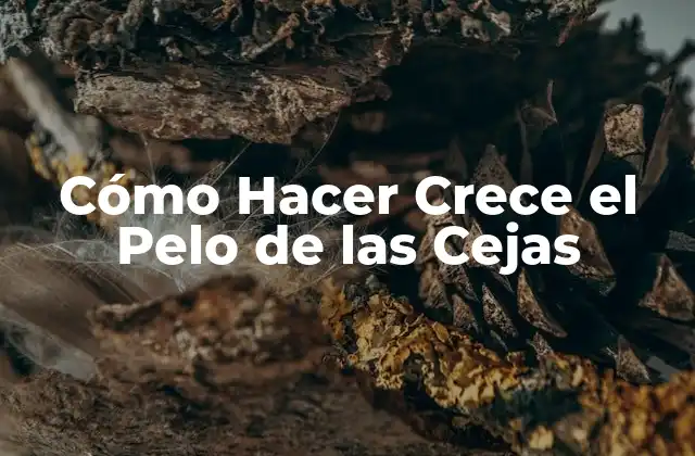 Cómo Hacer Crece el Pelo de las Cejas
