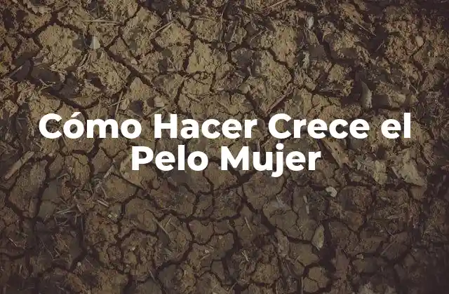 Cómo Hacer Crece el Pelo Mujer 2 Cómo Hacer Crece el Pelo Mujer